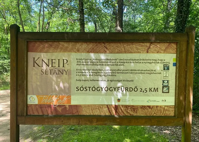 Sosto Forest Apartman
